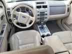 2008 FORD ESCAPE
