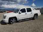 2002 CHEVROLET Avalanche