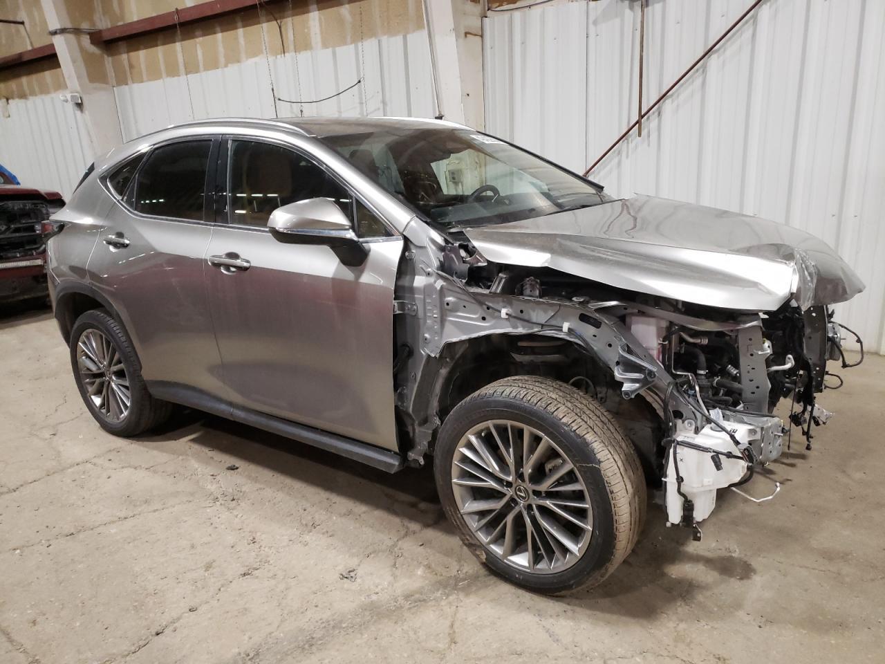 2023 LEXUS Nx