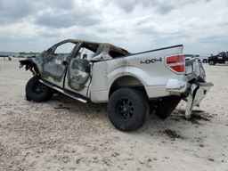 2010 FORD F-150