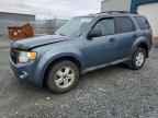 2010 FORD ESCAPE