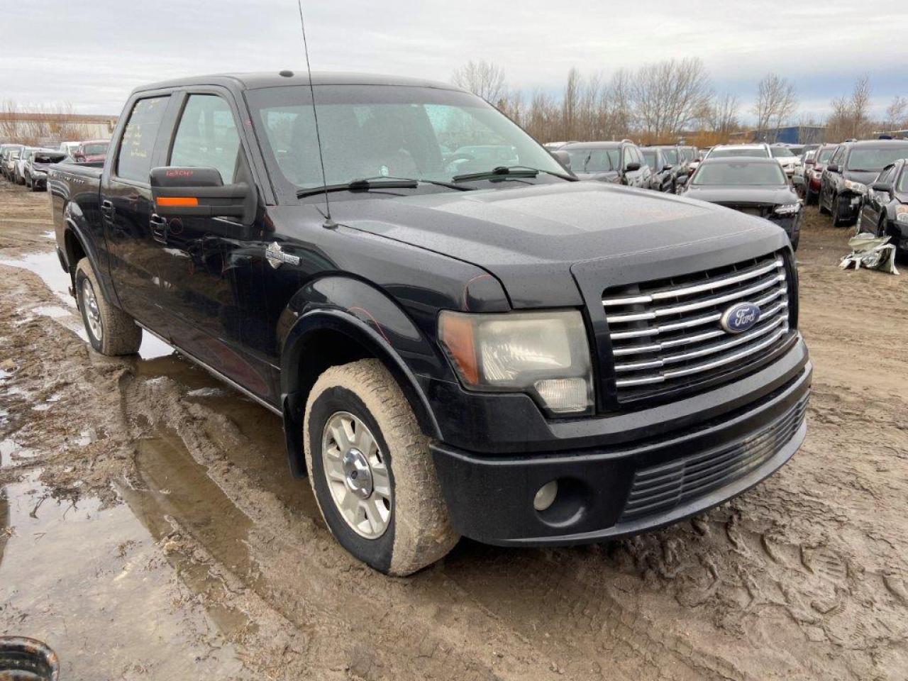2010 FORD F-150