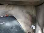 1997 TOYOTA COROLLA