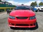 1999 FORD MUSTANG