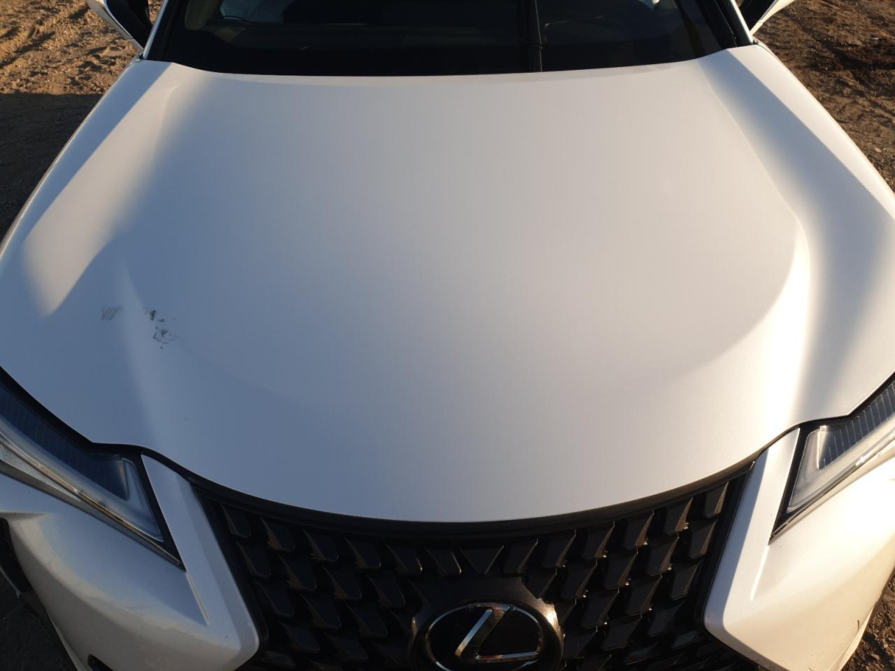 2019 LEXUS UX 250H