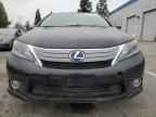 2010 LEXUS HS 250h