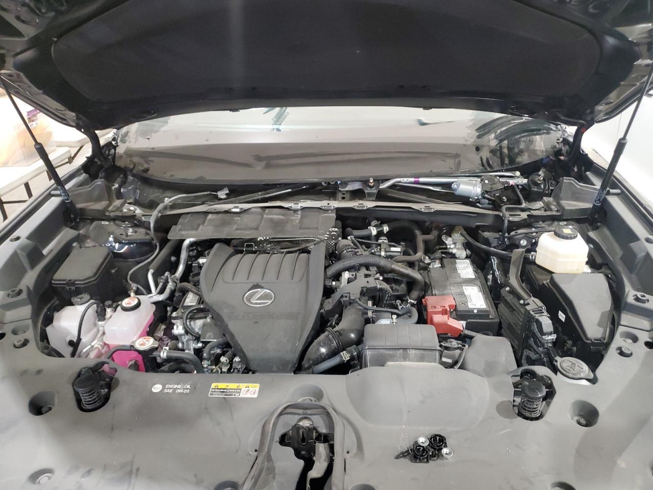 2024 LEXUS TX 350