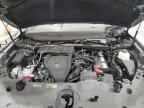 2024 LEXUS TX 350