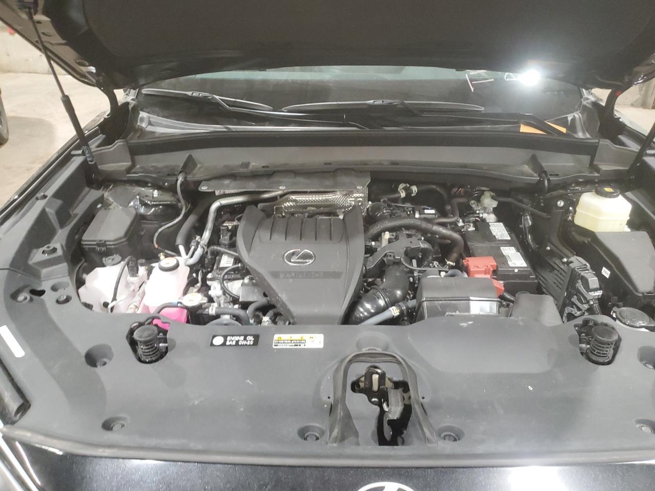 2024 LEXUS TX 350