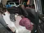 2024 TOYOTA 4Runner