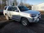 2023 TOYOTA 4Runner