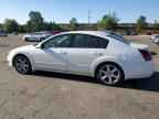 2005 NISSAN Maxima