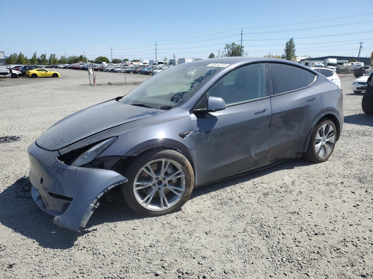 2023 TESLA MODEL Y