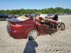 2007 LEXUS LS 460