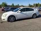 2005 NISSAN Maxima