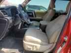 2023 TOYOTA 4Runner