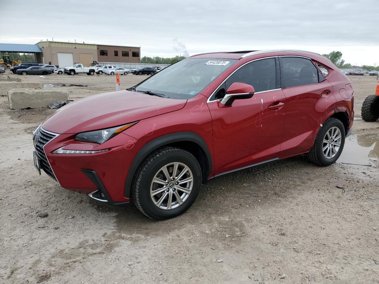 2019 LEXUS Nx
