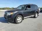 2009 FORD ESCAPE