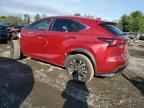 2019 LEXUS NX 300
