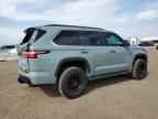 2024 TOYOTA Sequoia