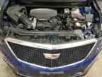 2024 CADILLAC XT5