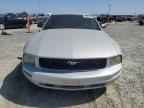 2005 FORD MUSTANG