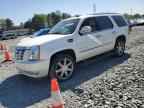 2008 CADILLAC ESCALADE