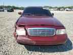 2011 FORD Crown Victoria