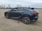 2023 LEXUS RX 350