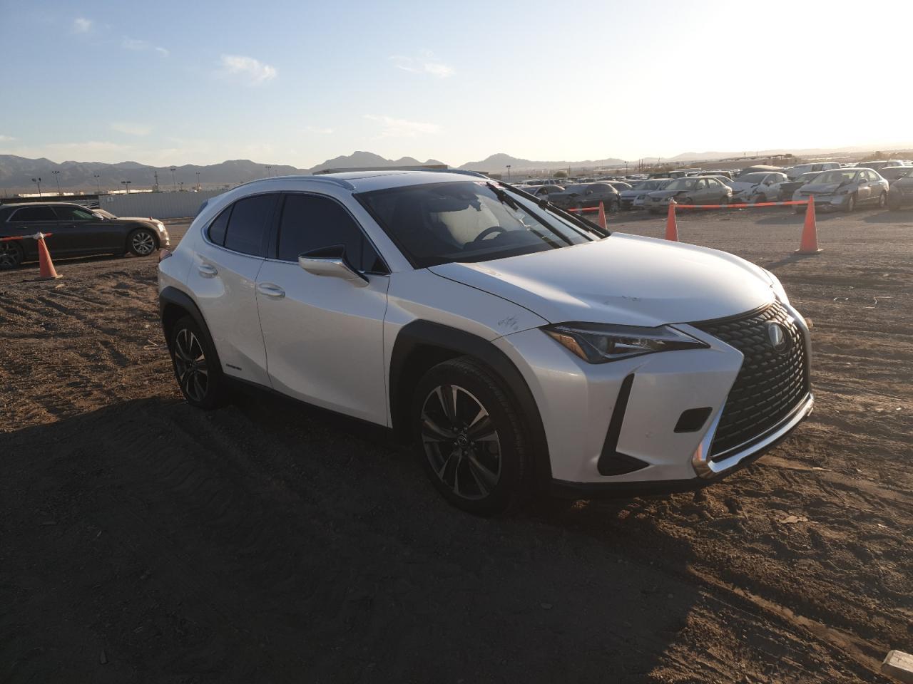 2019 LEXUS UX 250H