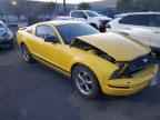2006 FORD MUSTANG