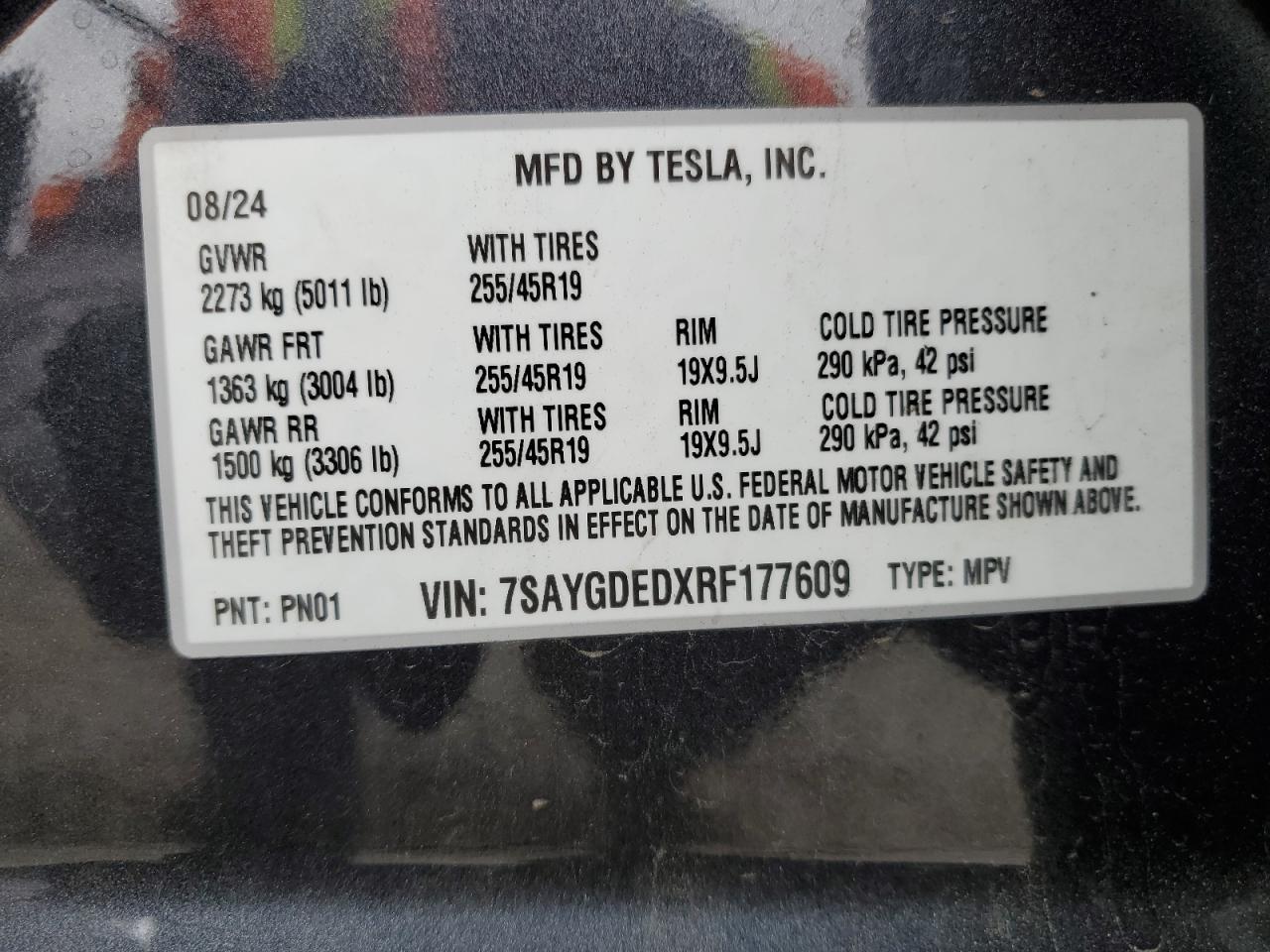 2024 TESLA MODEL Y