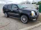 2013 CADILLAC ESCALADE