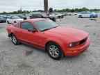 2009 FORD MUSTANG