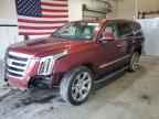 2020 CADILLAC ESCALADE
