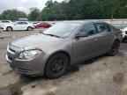 2010 CHEVROLET MALIBU