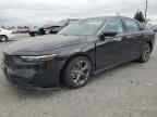 2025 HONDA ACCORD