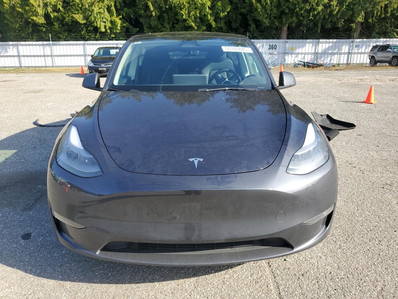 2025 TESLA MODEL Y
