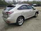 2021 LEXUS Rx