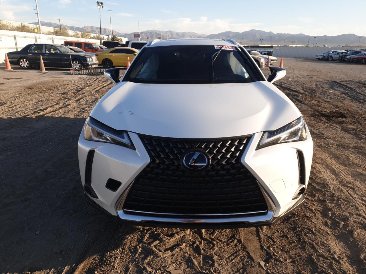2019 LEXUS UX 250H