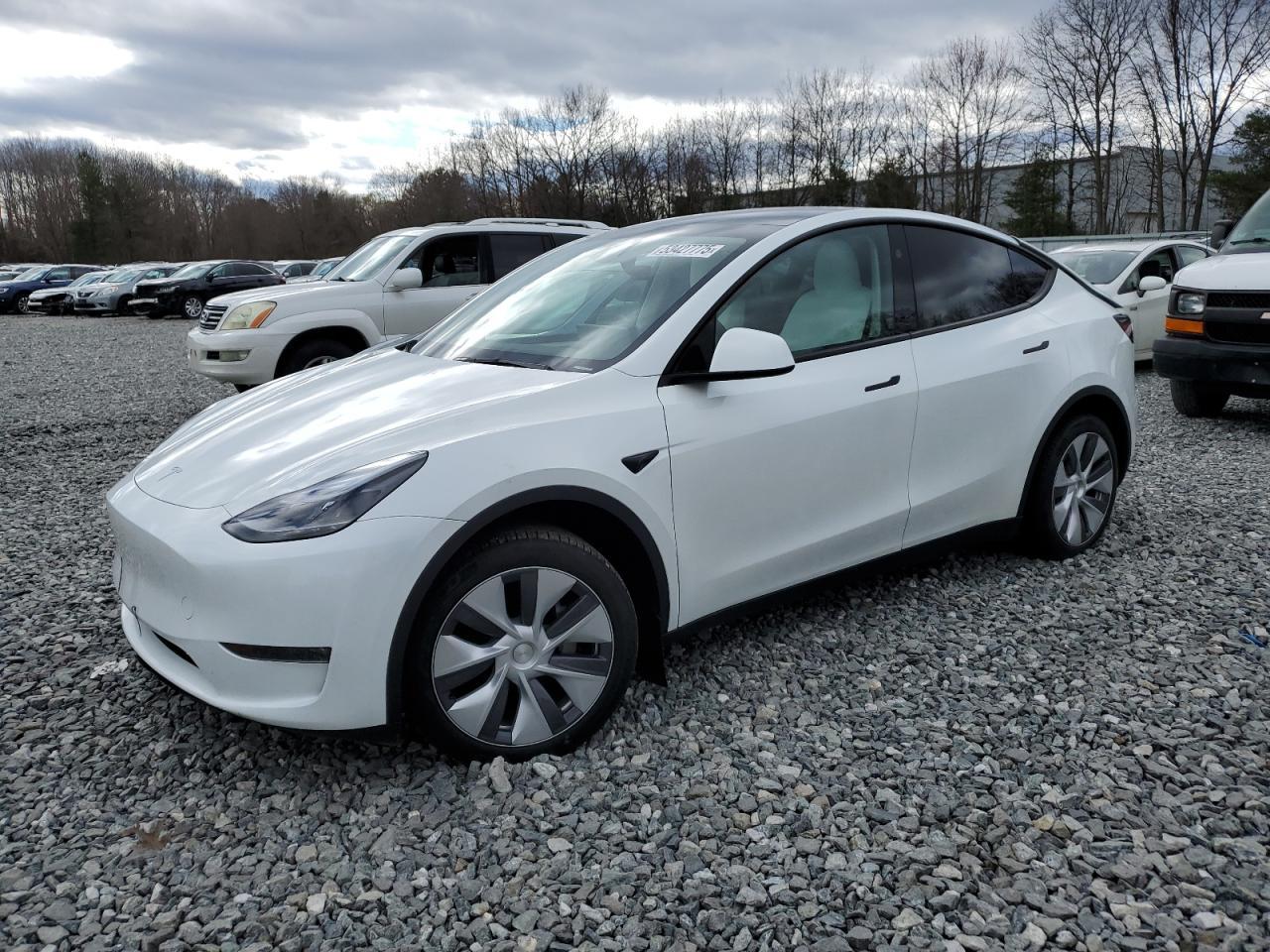 2024 TESLA MODEL Y