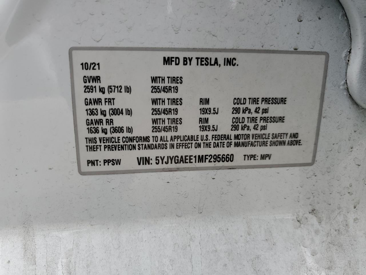 2021 TESLA MODEL Y