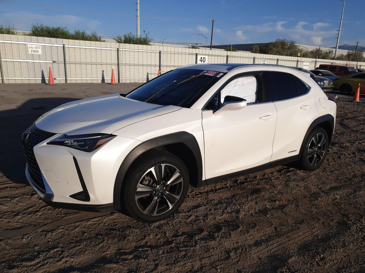 2019 LEXUS UX 250H
