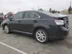 2010 LEXUS HS 250h