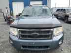 2010 FORD ESCAPE