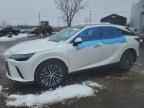 2023 LEXUS Rx