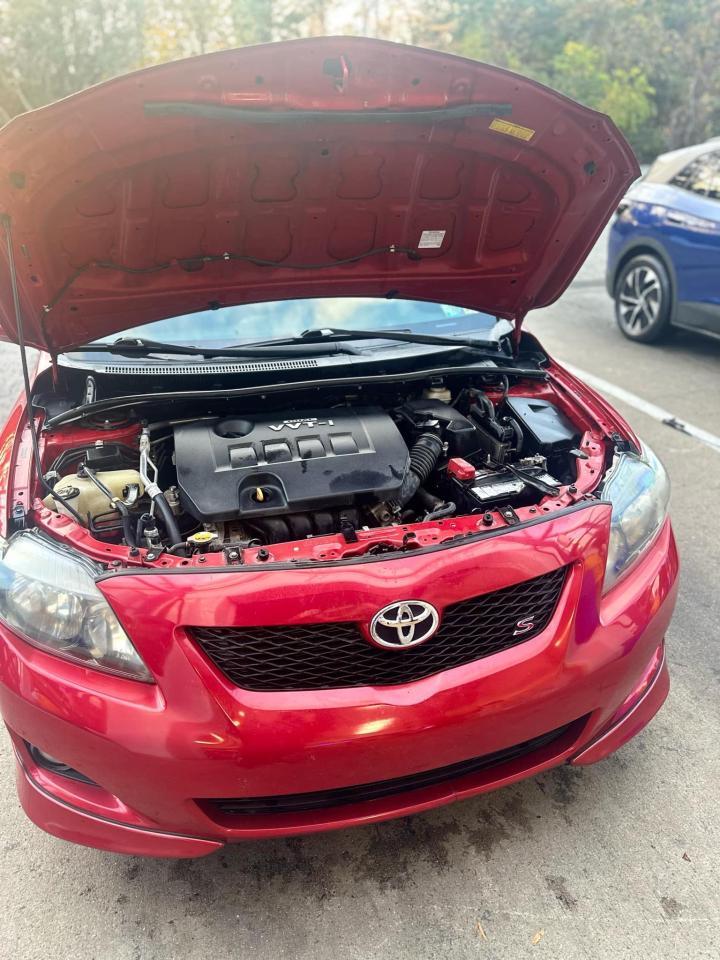 2010 TOYOTA COROLLA