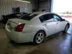 2004 NISSAN Maxima