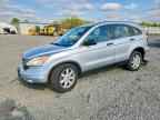 2010 HONDA CR-V