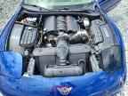 2004 CHEVROLET CORVETTE